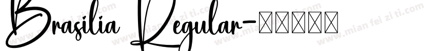 Brasilia Regular字体转换